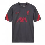 Maglia Formazione Liverpool 2020/2021 Grigio