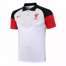 Polo Liverpool 2021/2022 Grigio Bianco