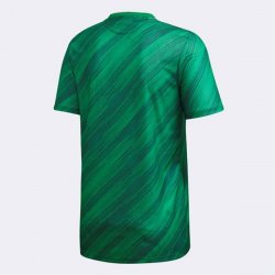 Thailandia Maglia Irlanda Norte Prima 2020 Verde