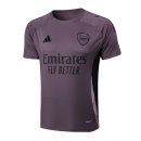 Maglia Formazione Arsenal 2025/2026 Porpora Grigio
