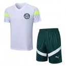 Maglia Formazione Palmeiras Set Completo 2023/2024 Bianco