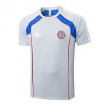 Maglia Formazione Bayern Monaco 2025/2026 Grigio 3