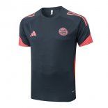 Maglia Formazione Bayern Monaco 2025/2026 Grigio 4
