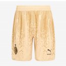 Pantaloni AC Milan 4th 2022/2023 Giallo
