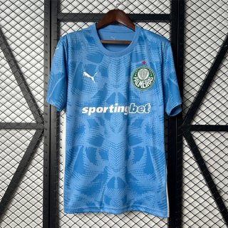 Thailandia Maglia Palmeiras Portiere 2025/2026 Blu Thailandia Maglia Palmeiras Portiere 2025/2026 Blu
