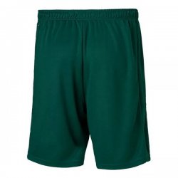 Pantaloni Palmeiras Seconda 2020/2021 Verde