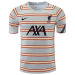 Thailandia Maglia Liverpool Pre Match 2022 Grigio