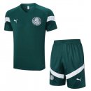 Maglia Formazione Palmeiras Set Completo 2023/2024 Verde