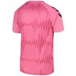 Thailandia Maglia Everton Seconda Portiere 2020/2021 Rosa