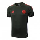 Maglia Formazione Bayern Monaco 2025/2026 Verde 3